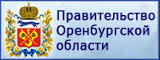 Правительство Оренбургской области